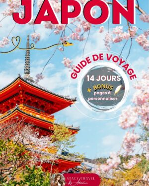 Japon : itinéraire de 14 jours (E-BOOK)